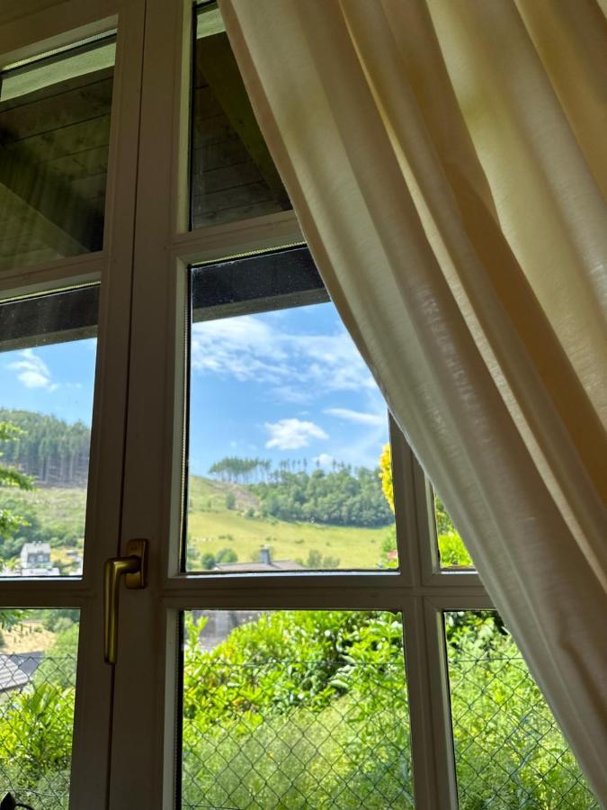 Urlaubsschmiede Winterberg Apartment Екстериор снимка