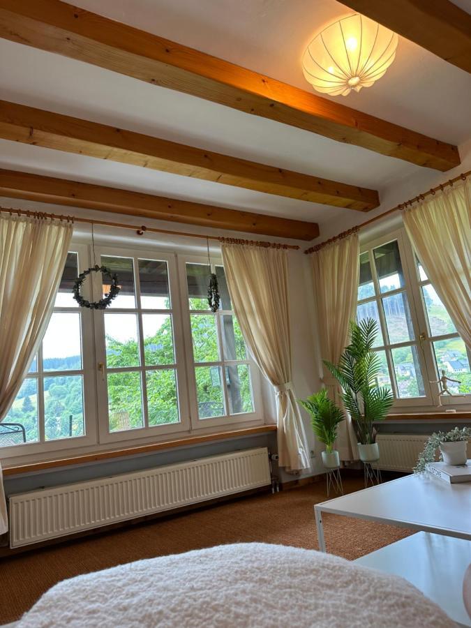 Urlaubsschmiede Winterberg Apartment Екстериор снимка